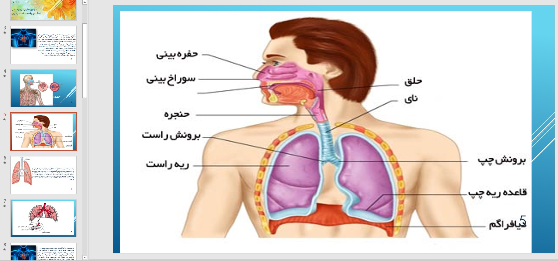 پاورپوینت فیزیولوژی تنفس