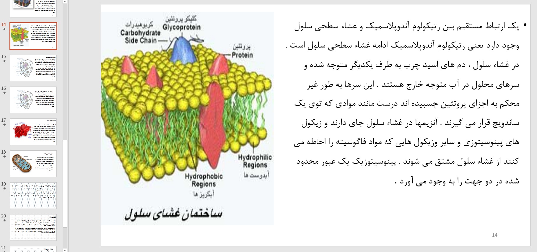 پاورپوینت فیزیولوژی سلول - Image 2