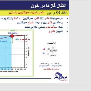پاورپوینت تبادلات گازی