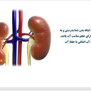 پاورپوینت فیزیولوژی کلیه
