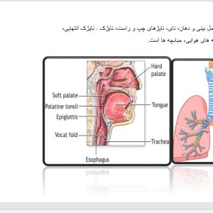 پاورپوینت فیزیولوژی دستگاه گردش خون