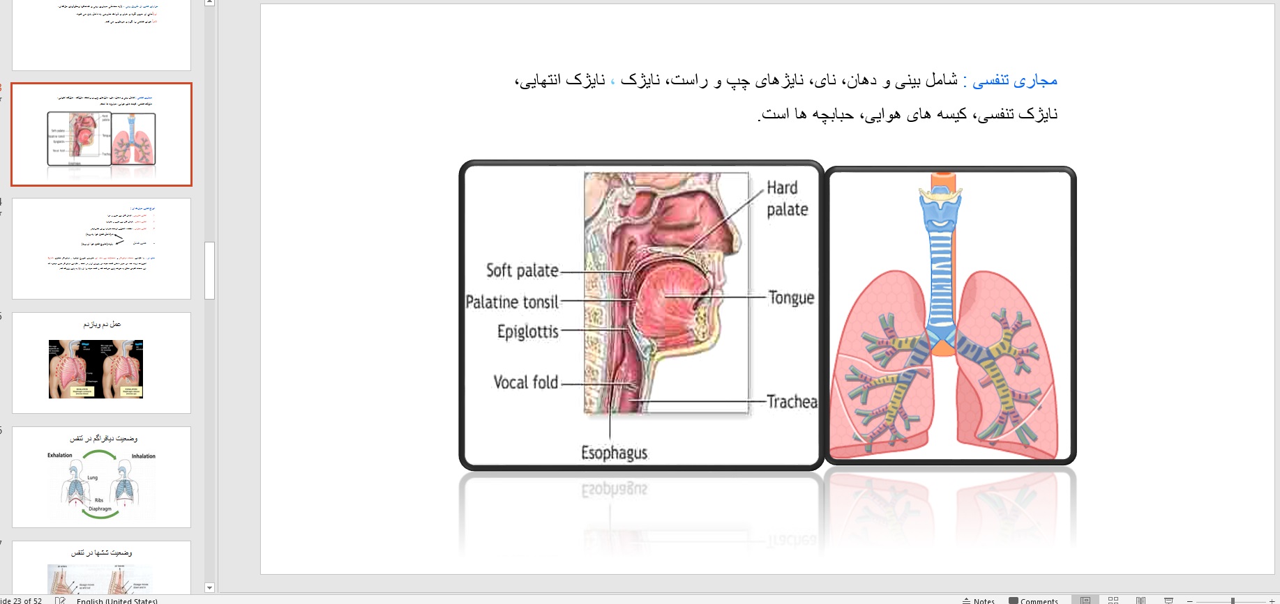 پاورپوینت فیزیولوژی دستگاه گردش خون - Image 2